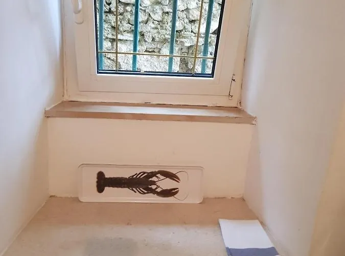 Apartament Dubrava *